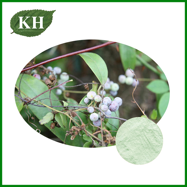 Poria Cocos Mushroom Extract